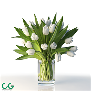 Tulips